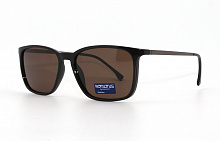 Polarized Romons  98016 С2 47-18-136