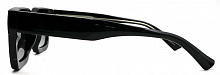 Polarized  RIANOVA  9028  C1