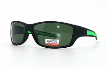 Polarized  Polar Eagle 8242 С6 56-17-139