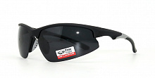 Polarized  8265 C3 65-18-120
