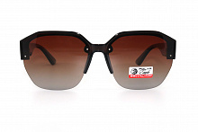 Polarized 09595 C2 61-17-143