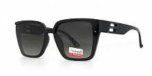 Polarized Santarelli 2370 C3 66-11-142