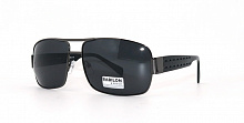 Polarized BABILON 0918 C2  65-18-135
