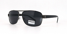 Polarized BABILON 0916 C2  63-16-135