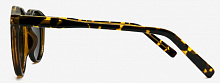 Polarized 19803  C3