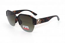 Polarized 09595 C4 61-17-143