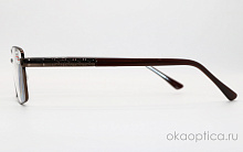 Готовые очки RALPH RA6009 C2   54-17-140