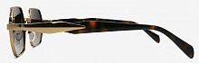 Polarized Santarelli  2788  С2
