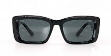 Polarized 5206 C1 53-19-150