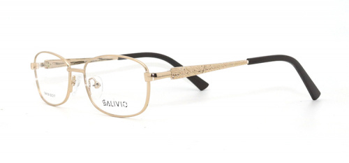 Оправа salivio 9126 C1 52-17-140 фото 2