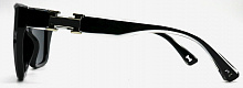 Polarized 5202 C1