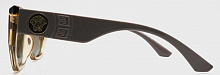 Polarized Santarelli   25001  C4