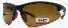 Polarized  8265 C2  73-18-124