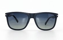 Polarized EC18041   C28  55-19-135
