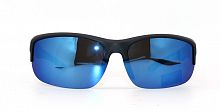 Polarized  8271 C4  65-18-120