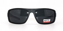 Polarized  8269 C3  62-19-127