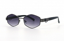 Фотохром Polarized 91766 C1 58-16-137