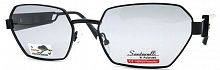 Polarized Santarelli  2761  С3