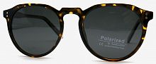 Polarized 19803  C3