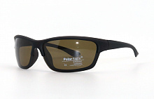 Polarized  Polar Eagle 8213 С2 70-16-122