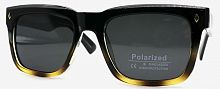 Polarized 19302  C3
