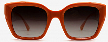 Polarized 5202 C3