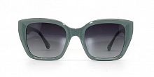 Polarized 5202 C4 52-21-152