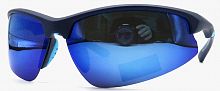 Polarized  8265 C4  65-18-120