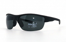 Polarized  Polar Eagle 8204 С3 73-17-120