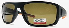 Polarized  8269 C2  62-19-127
