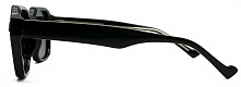 Polarized  RIANOVA  9001  C1