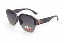 Polarized 09595 C6 61-17-143