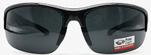 Polarized  8271 C1  65-18-120