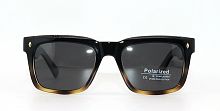 Polarized 19802  C3 51-20-149