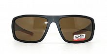 Polarized  8269 C2  62-19-127