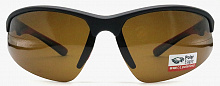 Polarized  8265 C2  73-18-124