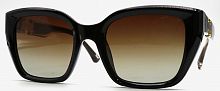 Polarized 5202 C2