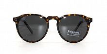 Polarized 19803  C3  52-21-148