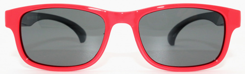 Polarized 8151 С40 фото 2 Polarized 8151 С40 фото 2