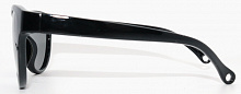 Polarized  8197 С11