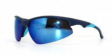 Polarized  8265 C4  65-18-120