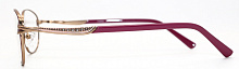 Оправа CHARM  4036 C3 54-17-142