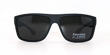 Polarized 02864 С3 61-15-136 матовый 
