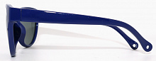 Polarized  8197 С41