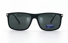 Polarized Romons  CA0427 С1  black  61-15-140