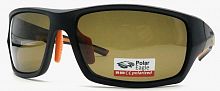 Polarized  8258 C2  63-16-120