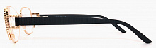 Готовые очки RALPH RA2571 C01 54-17-142