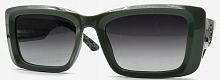 Polarized 5206 C4
