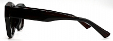 Polarized  RIANOVA  9031  C2