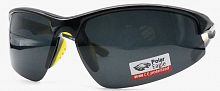 Polarized  8265 C1  65-18-120